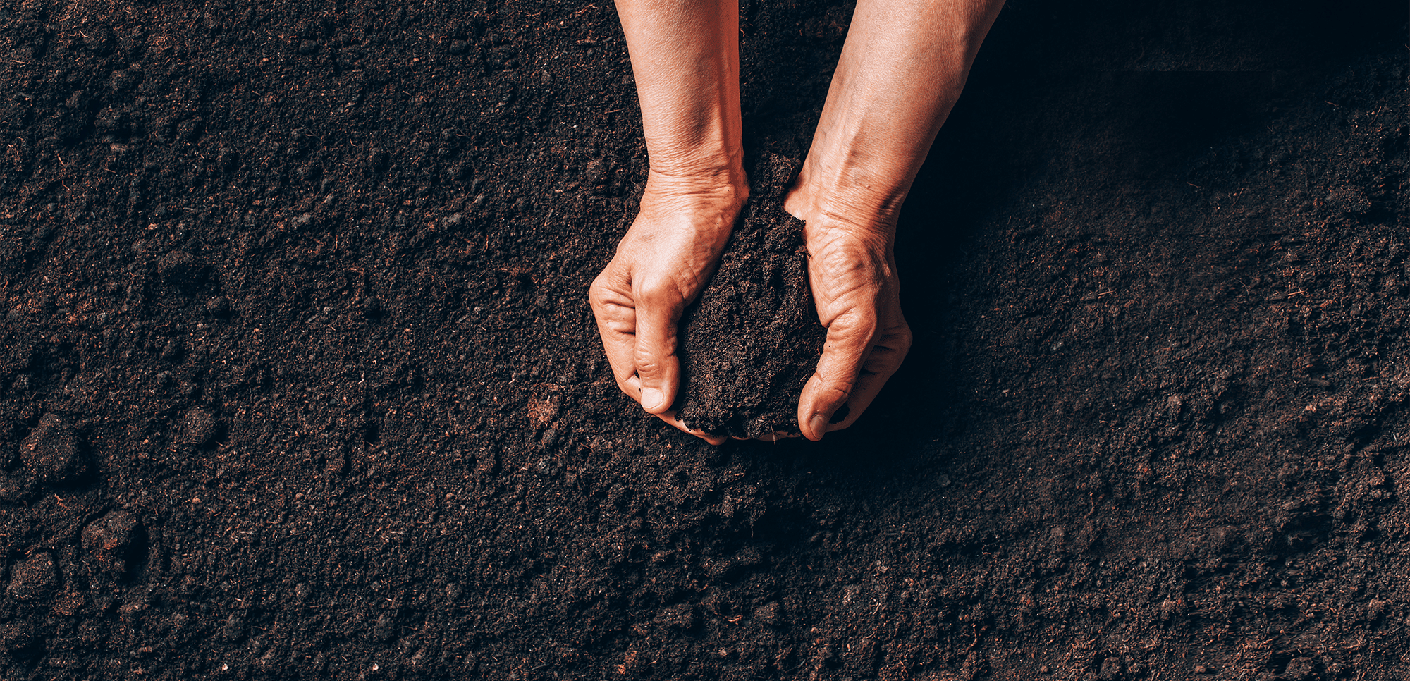 Commercial Dirt Pit in Sarasota - Dakin Natural Soils