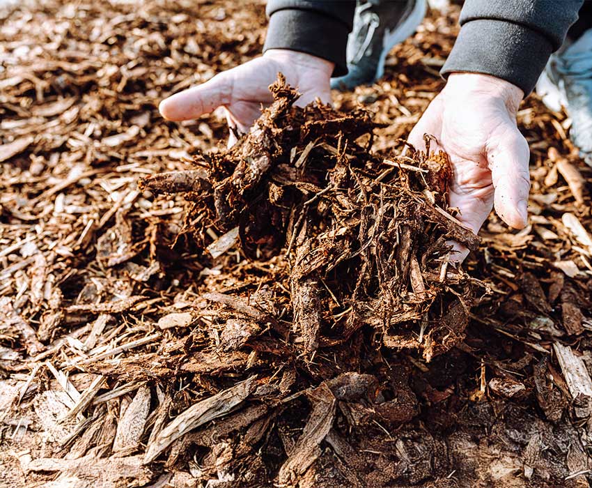 bulk-mulch-for-sale