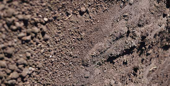 fill-dirt-soil-material