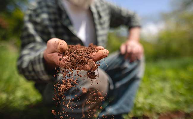 top-soil-provider